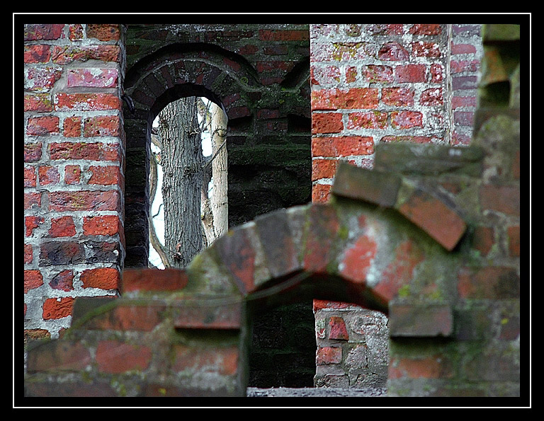 Tating, Schleswig-Holstein, Hochdorfer Garten 2008