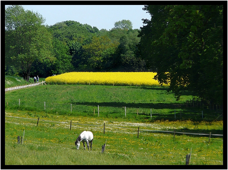 Wlfrath, NRW 2008