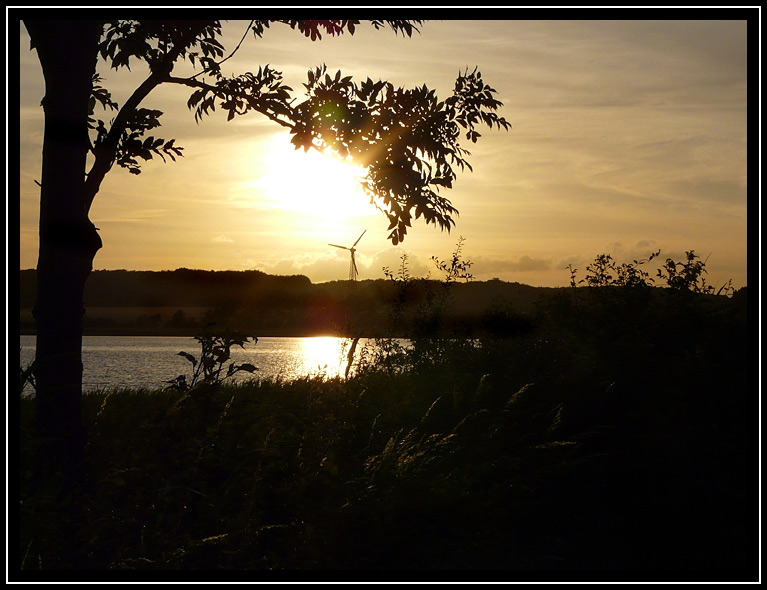 Schlei, Kopperby 2008