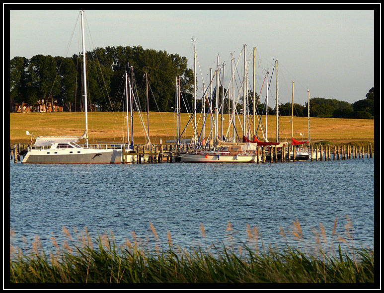 Schlei, Kopperby 2008