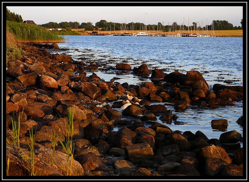 Schlei, Kopperby 2008