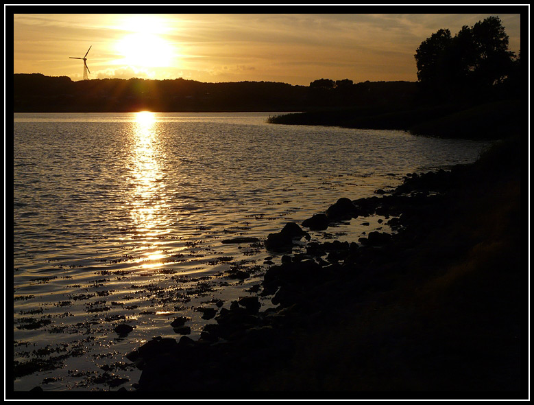 Schlei, Kopperby 2008