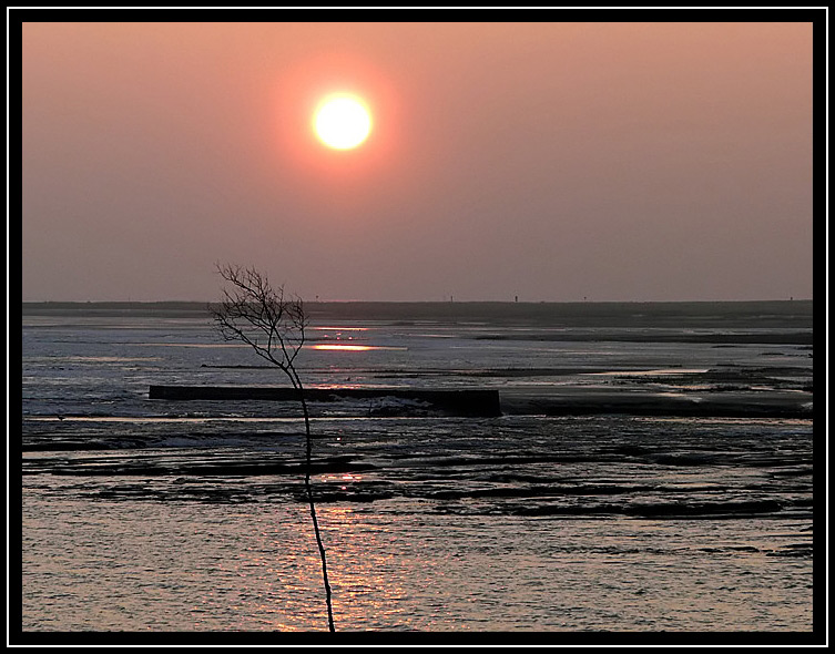 Watt vor Spiekeroog 2008