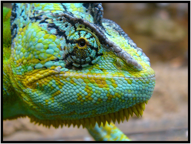 Zoo Wuppertal 2008