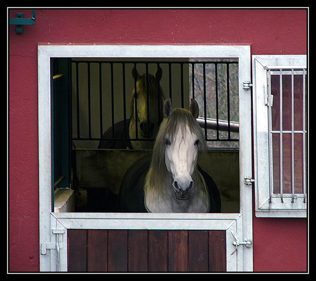 Velbert, NRW 2006