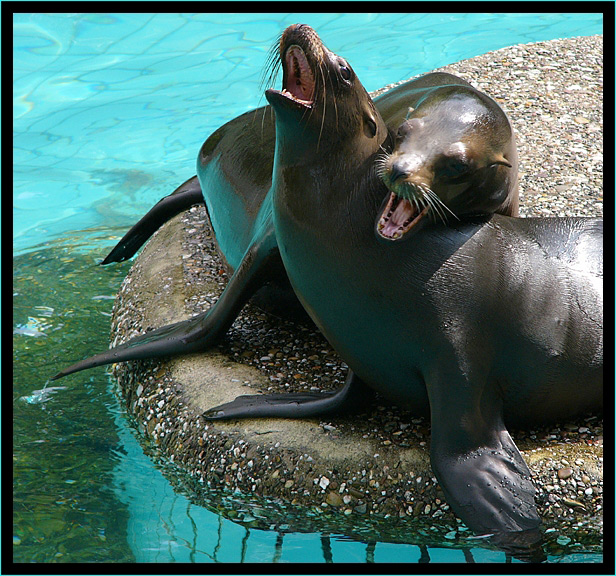 Wuppertal, Zoologischer Garten 2008