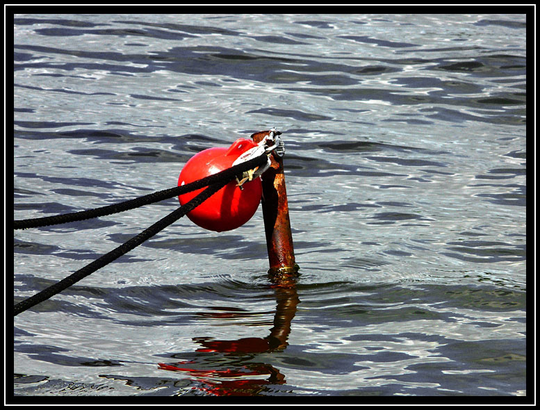 Maasholm, Schleswig-Holstein 2008